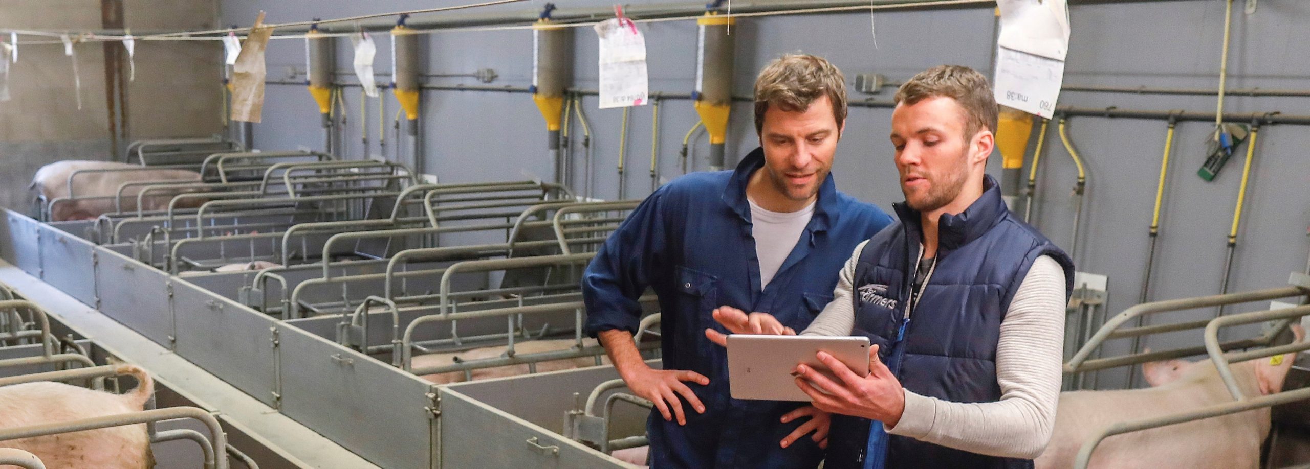 ForFarmers veehouder en adviseur gebruiken een agroscoop