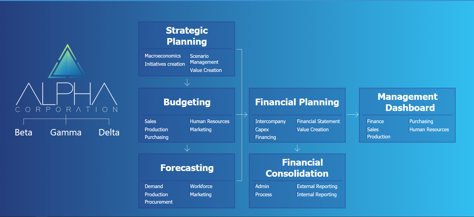 Naar een professionele financial forecast - zonder Excel!