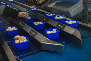 Hoe maak ik mijn productievloer papierloos? Met de shopfloor app van I-Fresh maak je, je productievloer papiervrij!