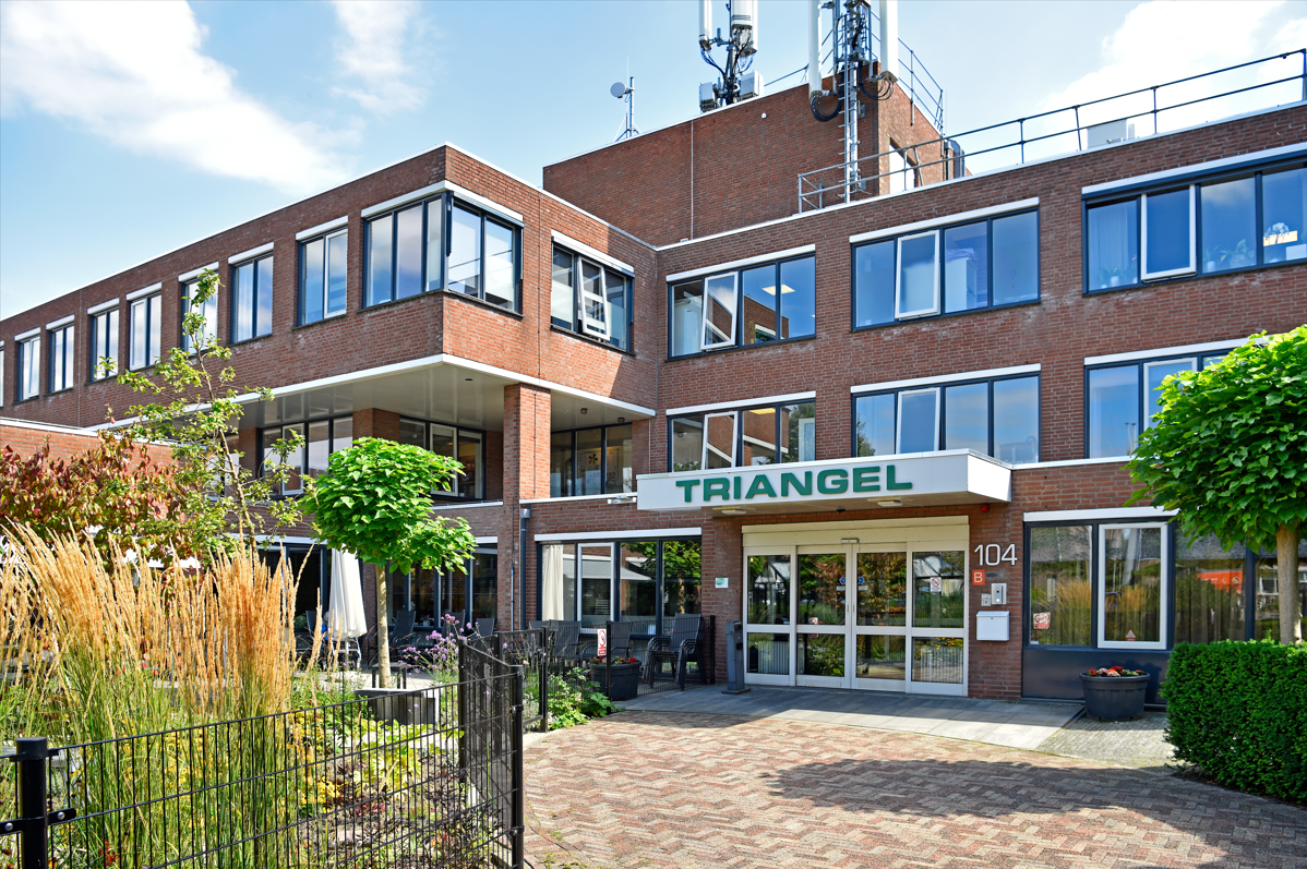 Pieter_van_Foreest_Telecom_Infrastructures_Delft_Triangel