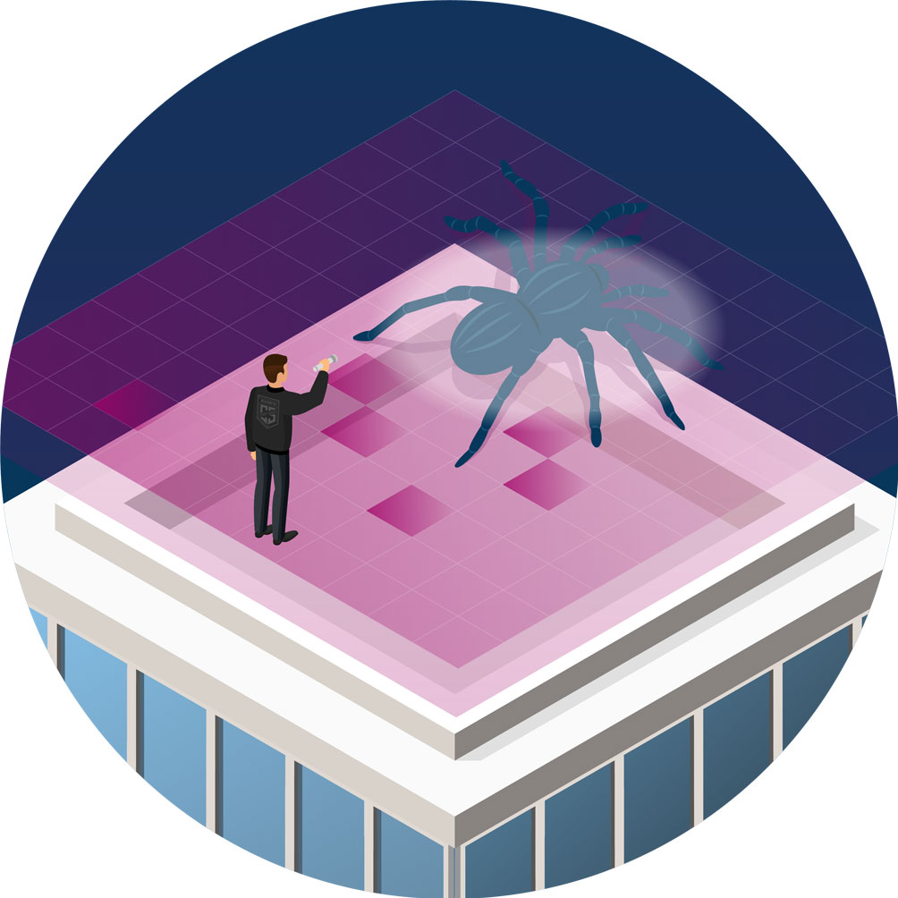 Bewaker schijnt licht op een spin die symbool staat voor een cyber security kwetsbaarheid