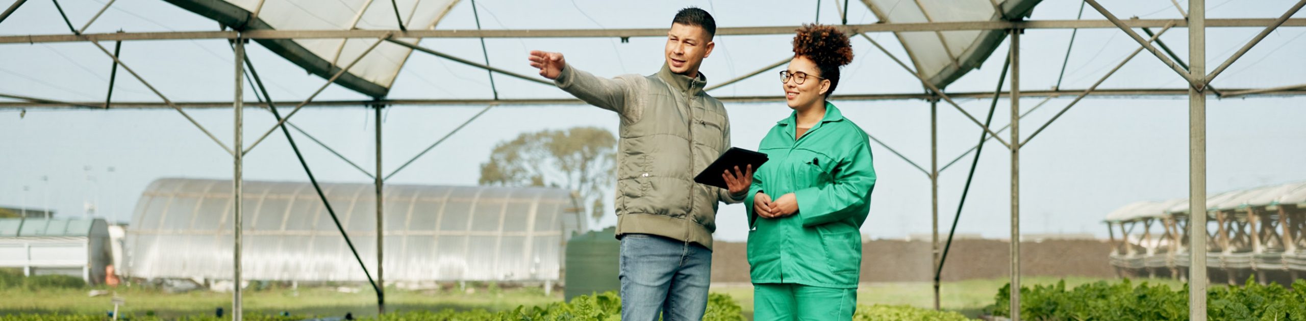 FoodSource mensen in het veld